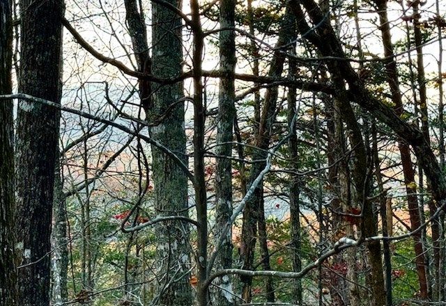 Lot 49 Mission Ridge, Hayesville, NC 28904
