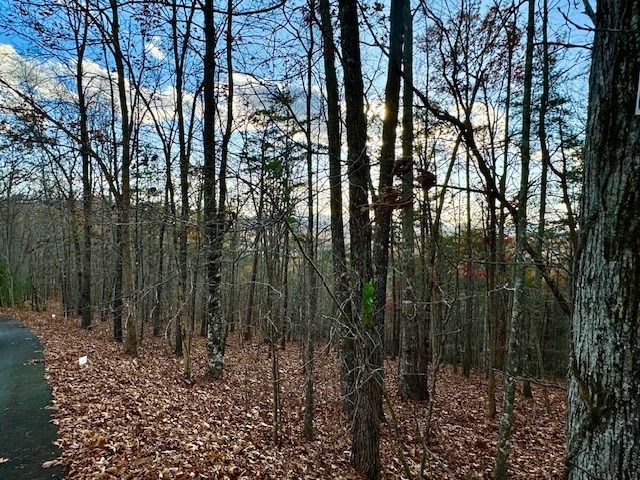 Lot 49 Mission Ridge, Hayesville, NC 28904