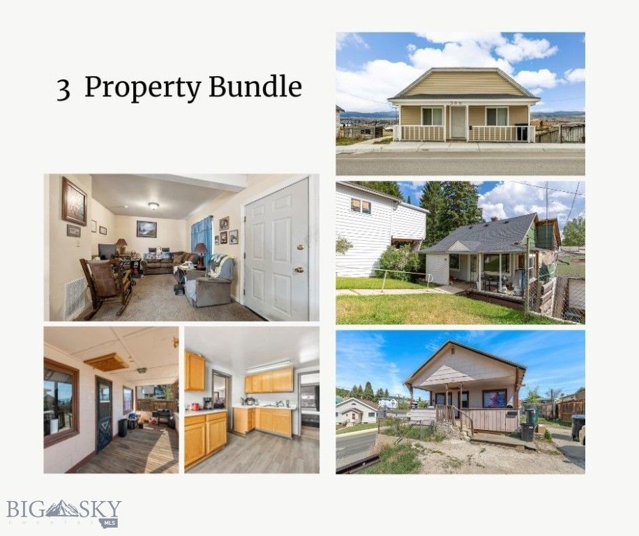 366 E Mercury, Butte, MT 59701 — exterior