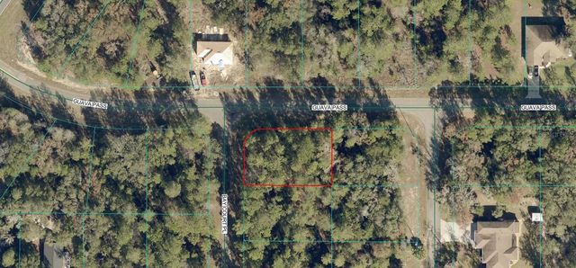 LOT 1 BAY COURT PASS, Ocklawaha, FL 32179