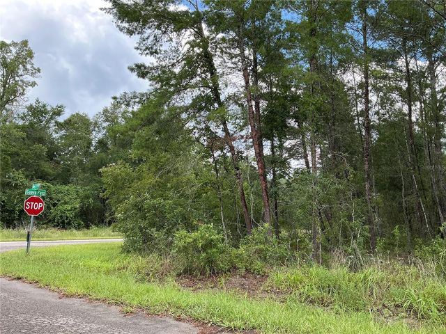LOT 1 BAY COURT PASS, Ocklawaha, FL 32179