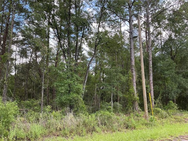 LOT 1 BAY COURT PASS, Ocklawaha, FL 32179