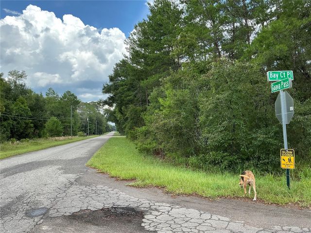 LOT 1 BAY COURT PASS, Ocklawaha, FL 32179