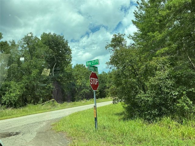 LOT 1 BAY COURT PASS, Ocklawaha, FL 32179