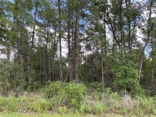 LOT 1 BAY COURT PASS, Ocklawaha, FL 32179
