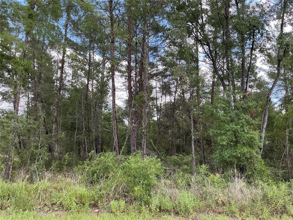 LOT 1 BAY COURT PASS, Ocklawaha, FL 32179
