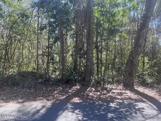 Lot 21 Hickory Drive, Ocean Springs, MS 39564