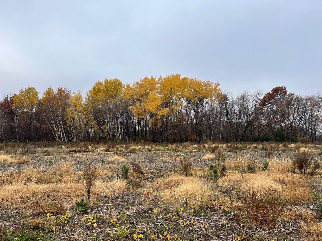 TBD (Lot 1) Brunswick Road, Stanchfield, MN 55080 — exterior