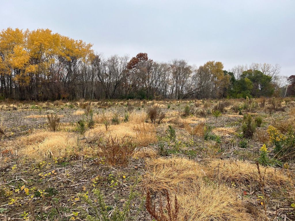 TBD (Lot 1) Brunswick Road, Stanchfield, MN 55080 — photo 2