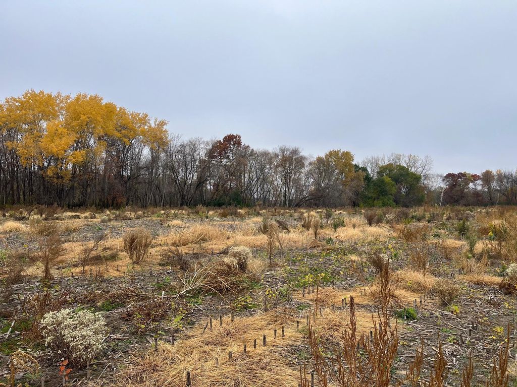 TBD (Lot 1) Brunswick Road, Stanchfield, MN 55080 — photo 3