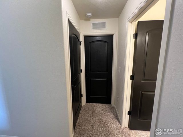 937 Greenbrook Dr, Windsor, CO 80550