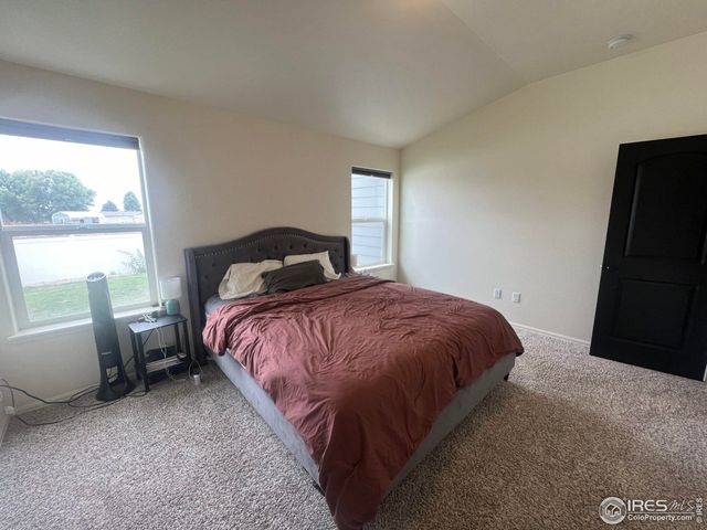 937 Greenbrook Dr, Windsor, CO 80550