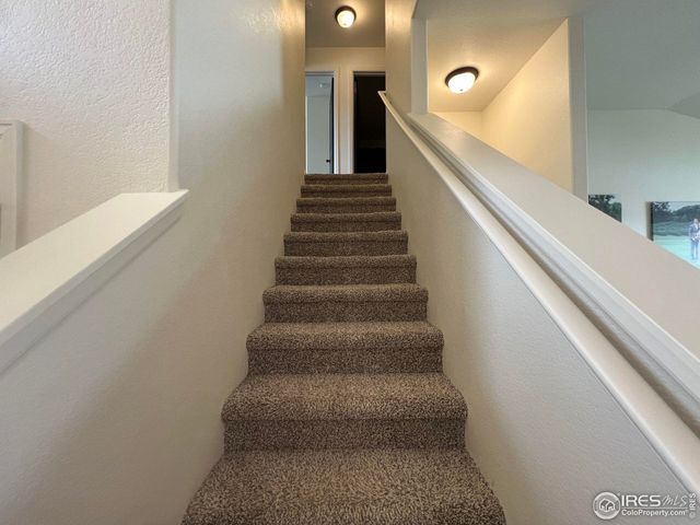 937 Greenbrook Dr, Windsor, CO 80550