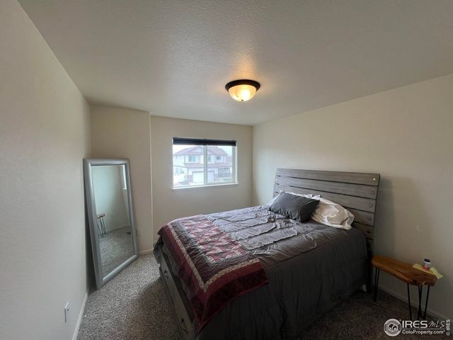 937 Greenbrook Dr, Windsor, CO 80550