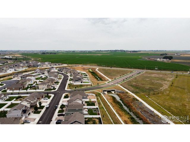 937 Greenbrook Dr, Windsor, CO 80550