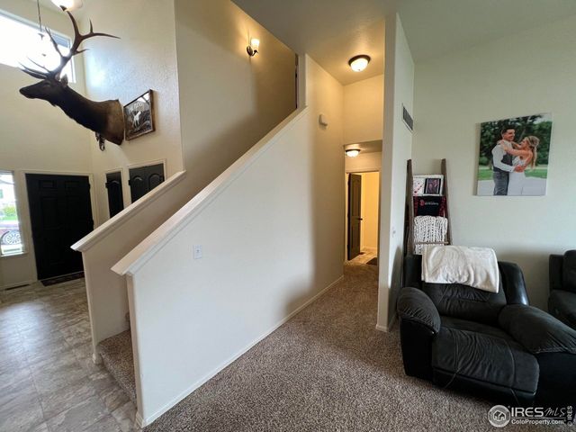 937 Greenbrook Dr, Windsor, CO 80550