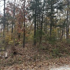 000 Vine Road, Merriam Woods, MO 65740