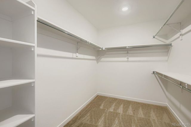 3158 Gladstone Avenue, Loveland, CO 80538