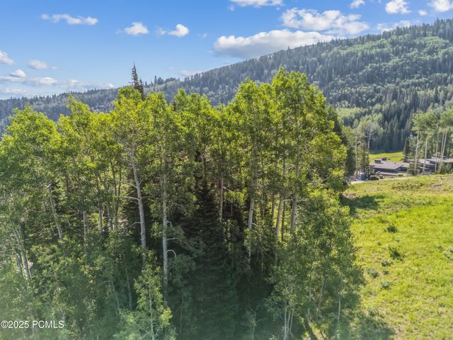 322 White Pine Canyon Road, Park City, UT 84060