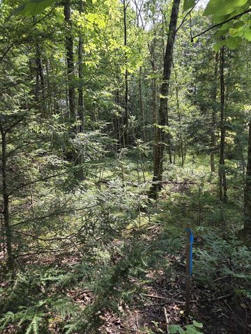 W7793 BERGESON LANE, Amberg, WI 54102