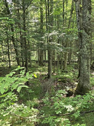 W7793 BERGESON LANE, Amberg, WI 54102