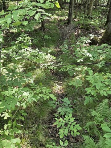 W7793 BERGESON LANE, Amberg, WI 54102