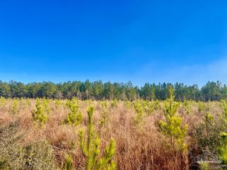 Lot 10-RS Hwy 182, Jay, FL 32565