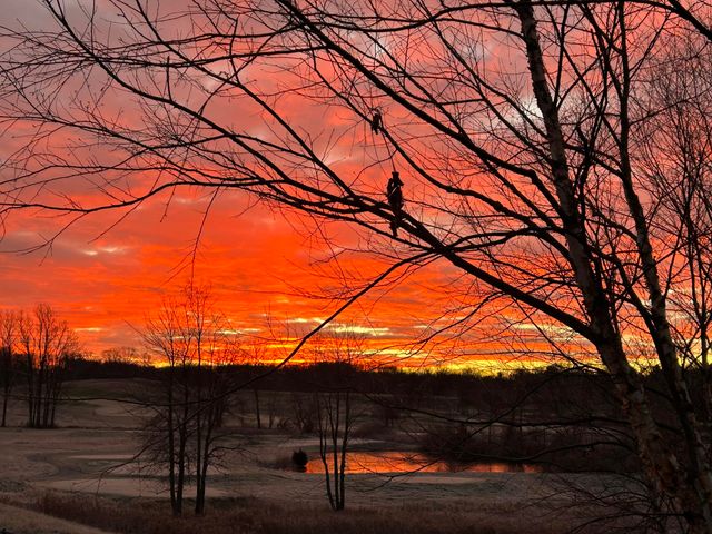 2488 Fairway Winds Court Ne, Ada Twp, MI 49301