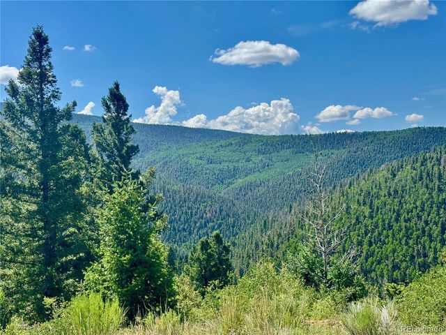 5850 Richardson Rd, Fort Garland, CO 81152