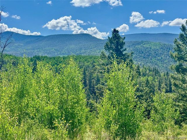 5850 Richardson Rd, Fort Garland, CO 81152