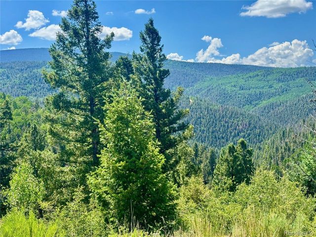 5850 Richardson Rd, Fort Garland, CO 81152