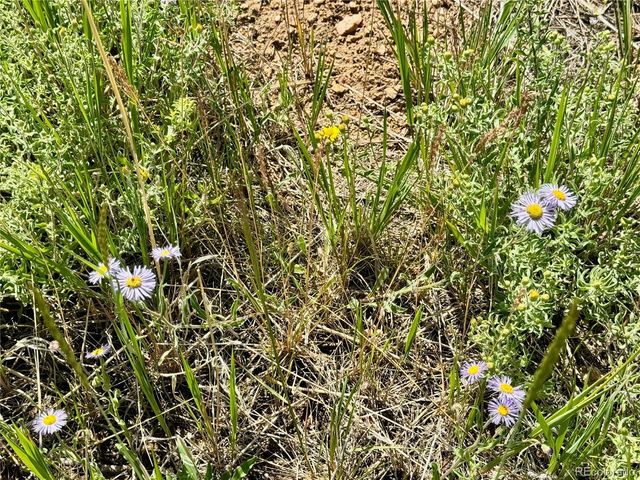 5850 Richardson Rd, Fort Garland, CO 81152