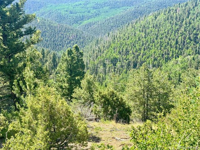 5850 Richardson Rd, Fort Garland, CO 81152