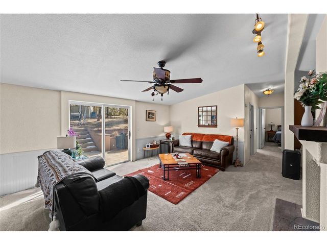 146 Kokwapy Ct, Florissant, CO 80816