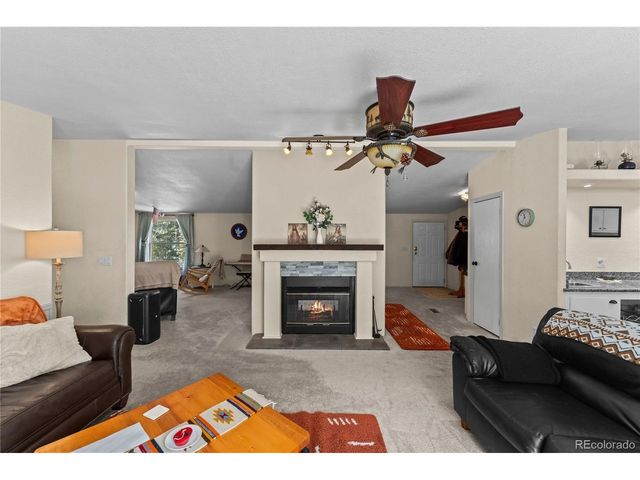 146 Kokwapy Ct, Florissant, CO 80816