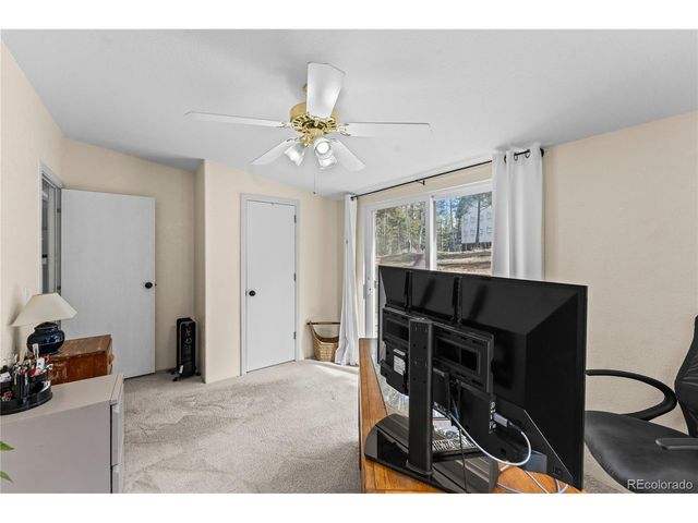 146 Kokwapy Ct, Florissant, CO 80816