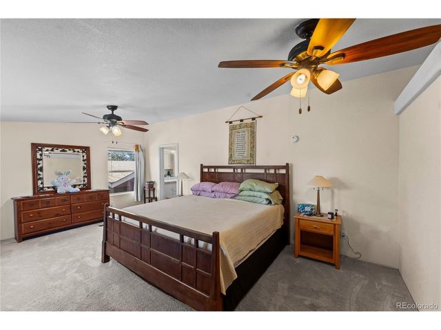 146 Kokwapy Ct, Florissant, CO 80816