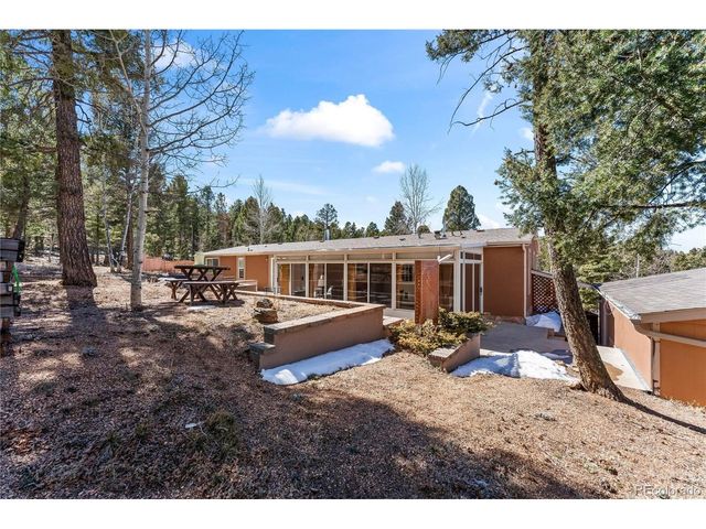 146 Kokwapy Ct, Florissant, CO 80816