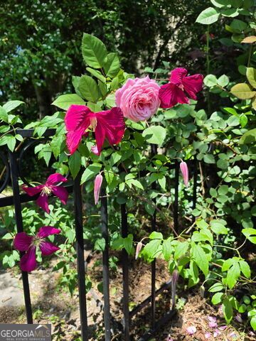 145 Carolina Avenue, Macon, GA 31204