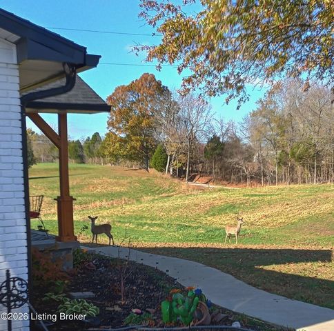 585 Roscoe Veazey Rd, Manitou, KY 42436