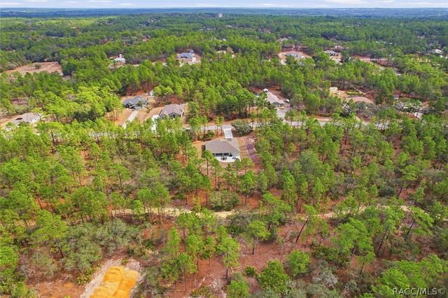 4318 N Pink Poppy Drive, Beverly Hills, FL 34465