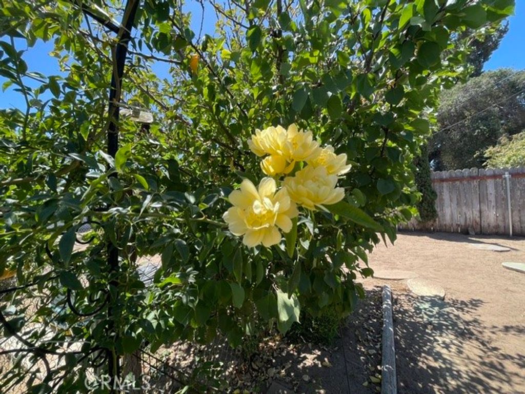 Image 32 of property listing at 302 Patterson, Santa Maria, CA 93455