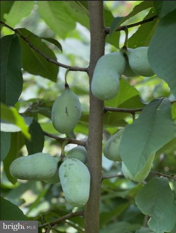 4035 TAYLOR DR, Fairfax, VA 22032