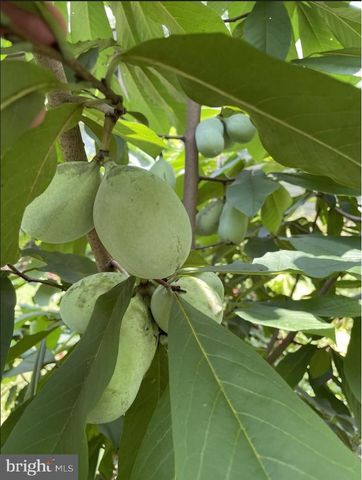 4035 TAYLOR DR, Fairfax, VA 22032