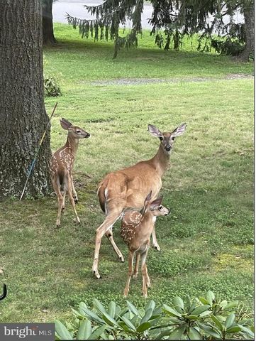 4035 TAYLOR DR, Fairfax, VA 22032