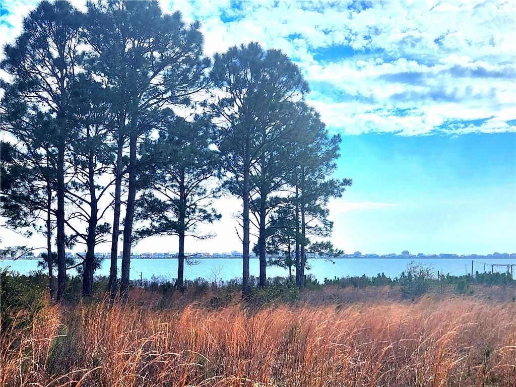 15640 State Highway 180, Gulf Shores, AL 36542 — photo 5