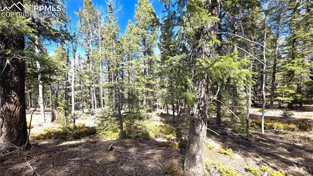 19 Serenity Circle, Florissant, CO 80816