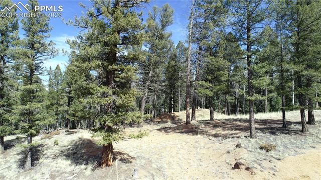 19 Serenity Circle, Florissant, CO 80816
