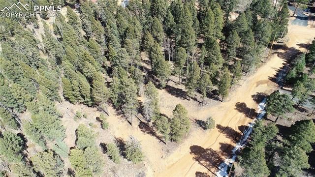 19 Serenity Circle, Florissant, CO 80816