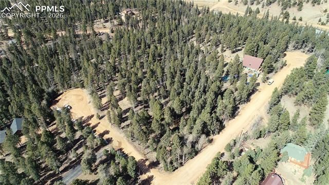 19 Serenity Circle, Florissant, CO 80816